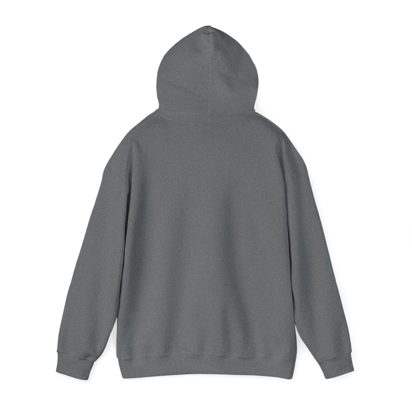 ASTROMAX Hoodie