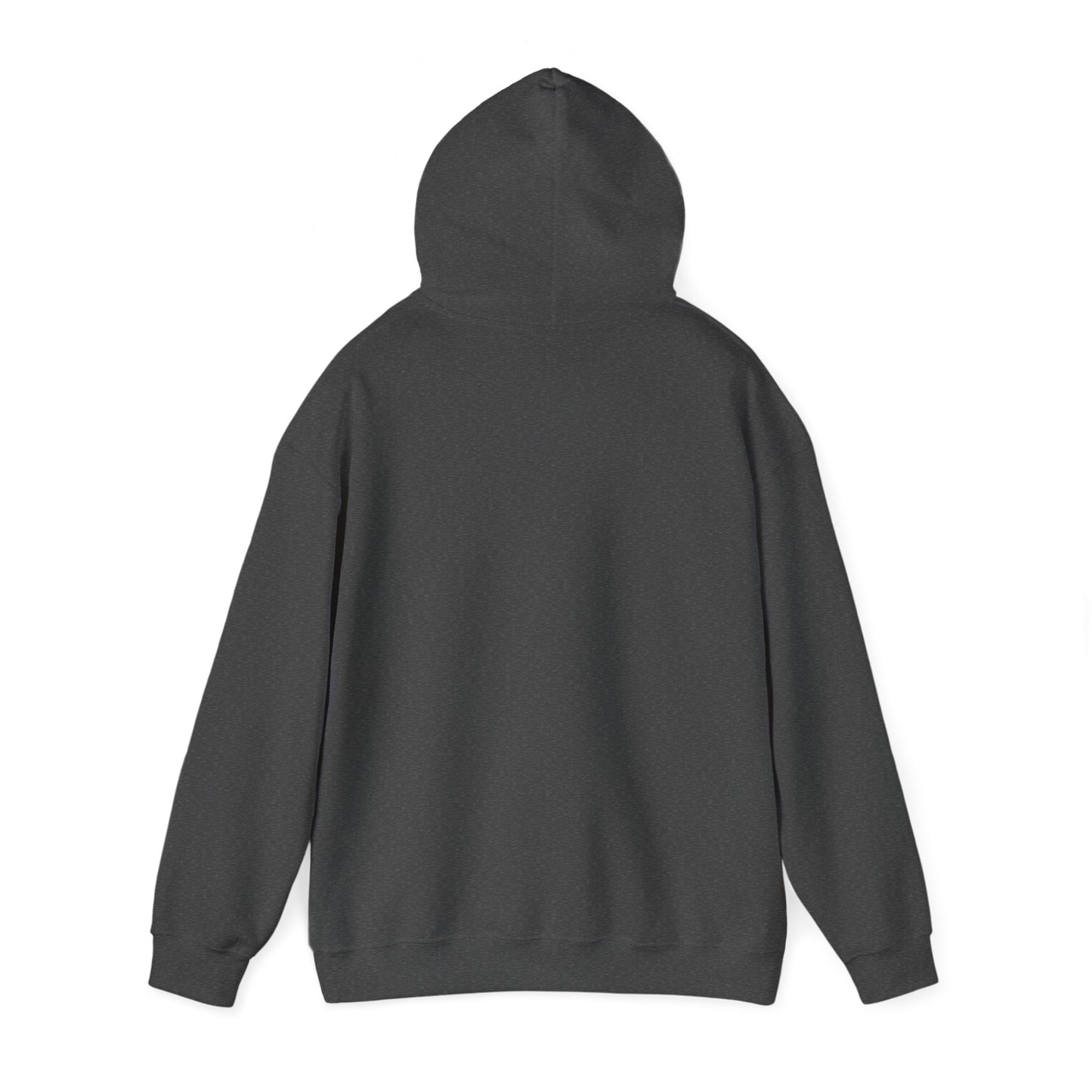 ASTROMAX Hoodie